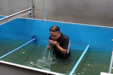 Thành công của chuyên gia Nhật : Cái tát trời giáng vào mặt nhóm lợi ích thoát nước làm nhiều người suy nghĩ ??